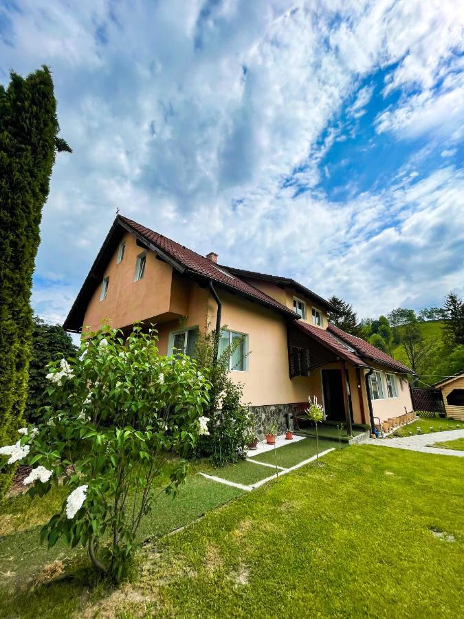Vila Lilica Bran  Exterior foto